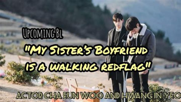 My Sister's Boyfriend Is A Walking Red Flag Kdrama: A Tale Of Love Gone Awry