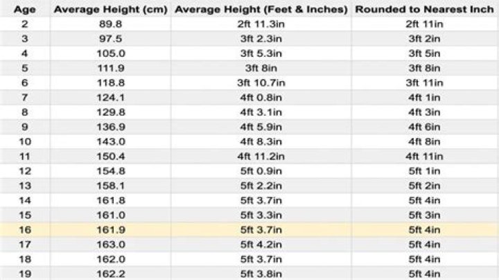 Understanding Growth: Is 6 Inches Good For A 16 Year Old?