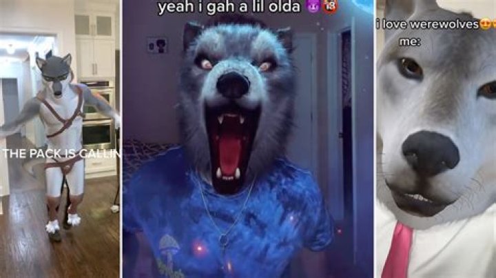 Unmasking The Alpha Wolf Cringe Phenomenon