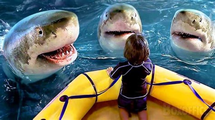 Unveiling The Age Of Sharkboy: A Dive Into His World